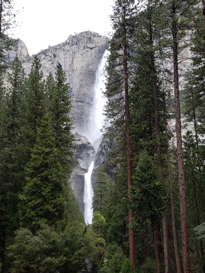 Yosemite Foothill Retreat - Private Guest Suite #3 Coarsegold Luaran gambar