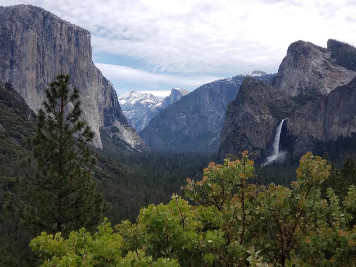 Yosemite Foothill Retreat - Private Guest Suite #3 Coarsegold Luaran gambar